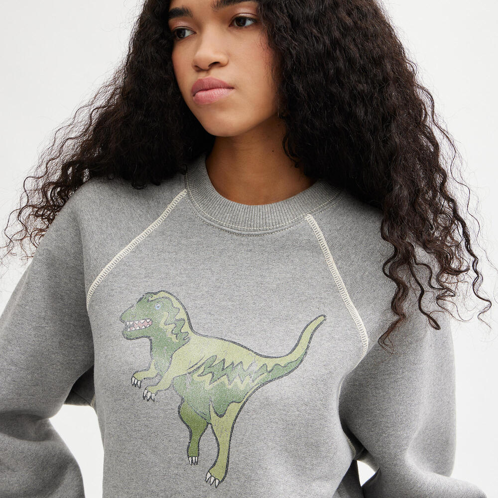 🩶Rexy Crewneck Sweatshirt Size XS🩶 like new